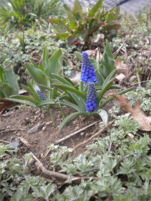 DSCN4084.jpg