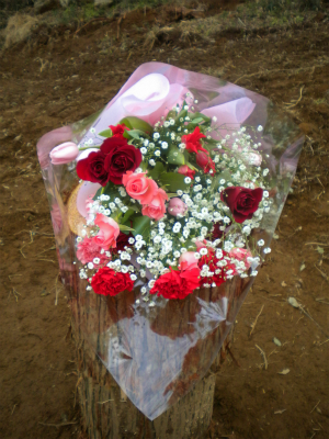 DSCN3865.jpg